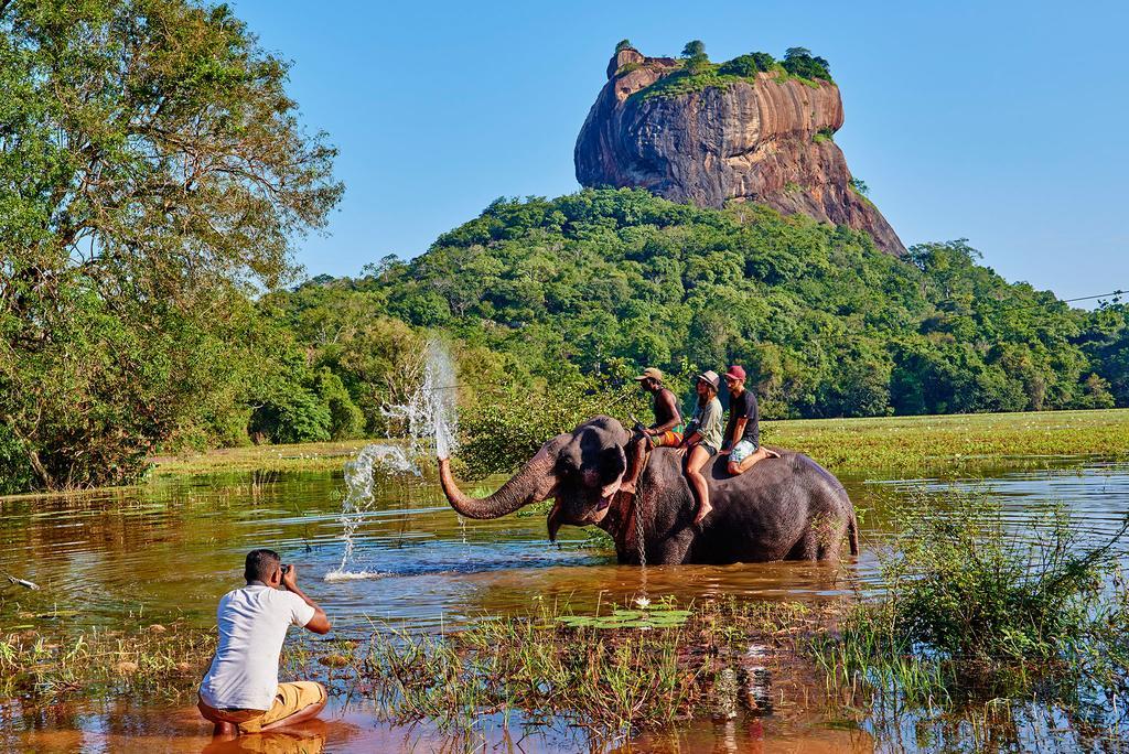 The Courtyard Villa Sigiriya Exterior photo